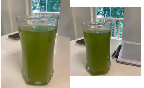 Amla with Mint Juice